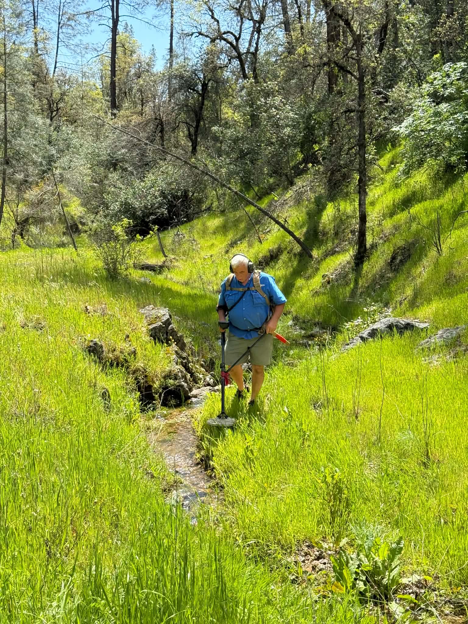 Raymond G. Mills in the field with his metal detector